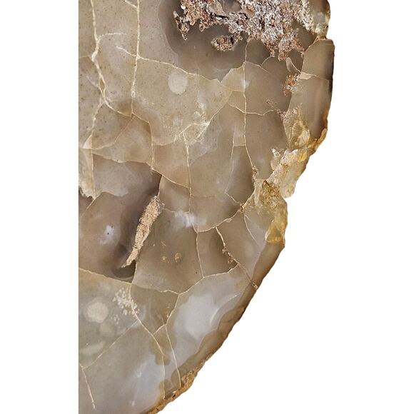 Tiger Rock Stone Art Artist Signed Hand Painted Oval Big Cat Decor Painting Flat - Picture 9 of 9